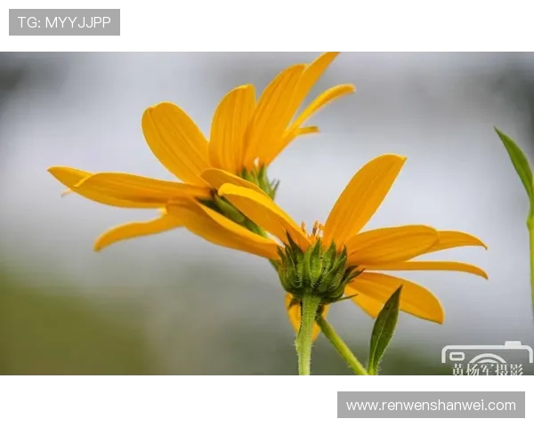 遇见美丽，绽放你我——“美丽女孩”的时代赞歌